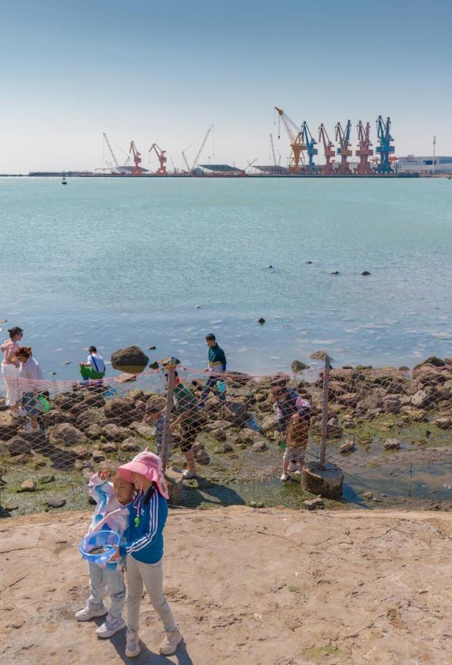 韦帕过境广东一海滩遍地海鲜 大自然的“海鲜盛宴”引发赶海热潮