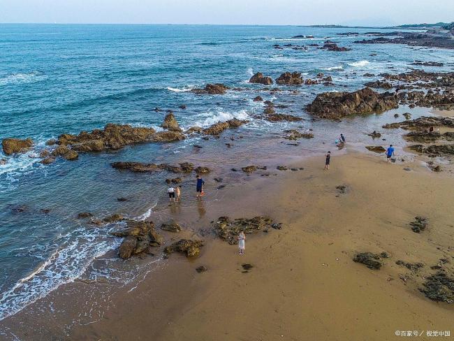 韦帕过境广东一海滩遍地海鲜 大自然的“海鲜盛宴”引发赶海热潮