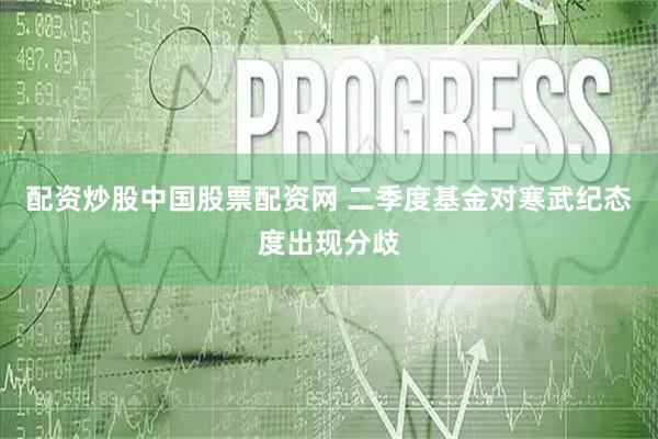 配资炒股中国股票配资网 二季度基金对寒武纪态度出现分歧